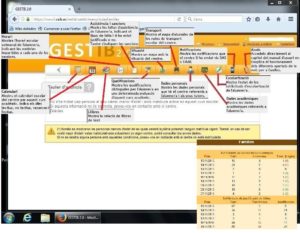 gestib